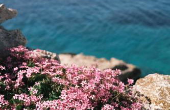 Villa Infinity View - Photo 56