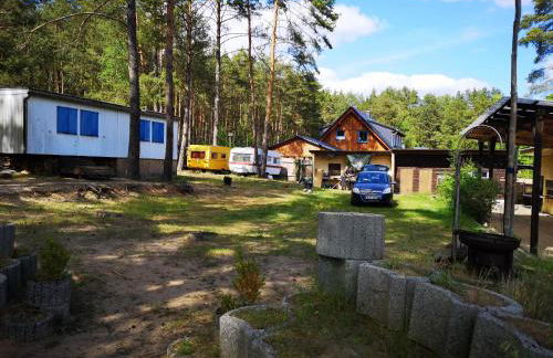 Bungalows im Grünen - Photo 13