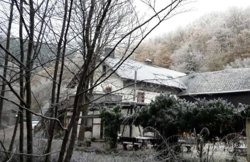 Neumühle from April 2014! - Foto 6