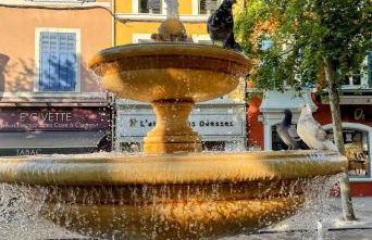 Les Bruyères - Foto 8