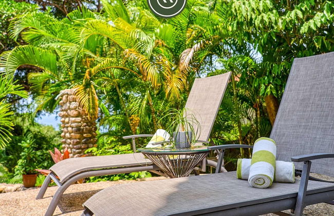 La Japihua in Jalisco - Foto 47