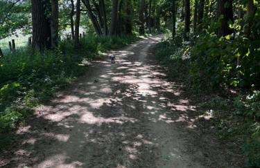 Ferienwohnung Micaela - Foto 40