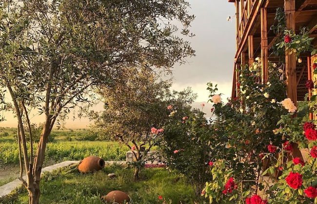 Elizbar Talakvadze Winery - Photo 19