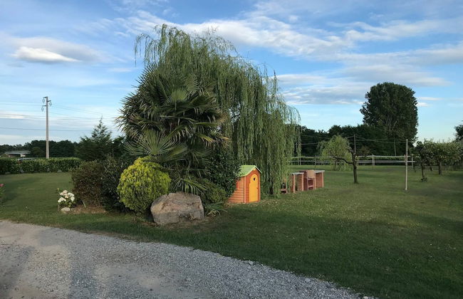 Agriturismo La Biandrina - Foto 52