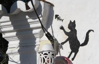 Quinta da Fornalha - Santuario Agroecologico - Foto 45