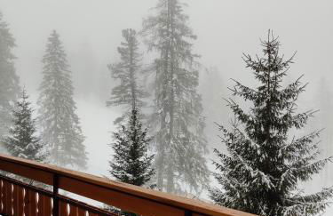 Lärchenheim - Foto 10