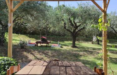 La Casa Tra Gli Ulivi - Foto 32