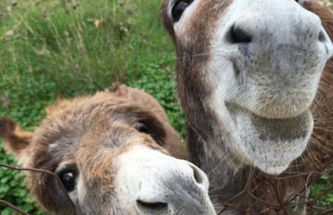 Apartment BEACH & RELAX - Photo 42