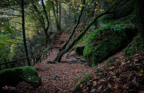 Fogar Rivoira Sacrata - Foto 24