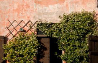 Cascina Rosa B&B - Foto 16