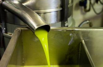 Agriturismo Vecchio Borgo di Inalbi - Foto 29