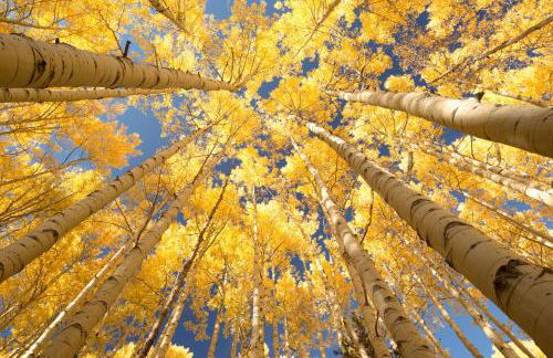 Lagoon Royal Townhome: Mountain Views Meet Modern Comforts - Foto 28