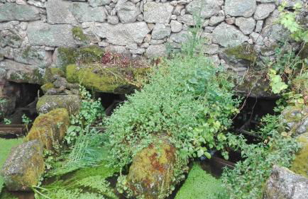 Casa da Rosa - Foto 30