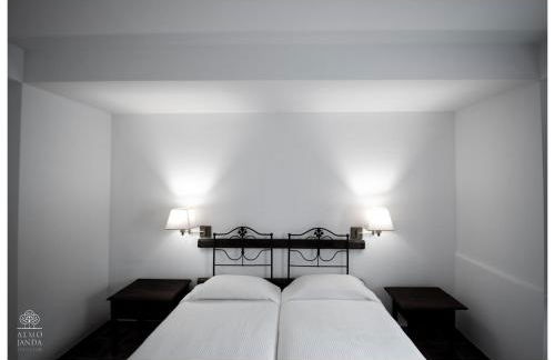 Almojanda 3 olive tree - Foto 49