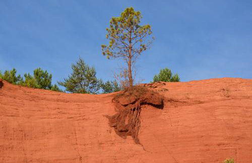 Lou Vergié Maison Provencale au pied du Luberon - Foto 23