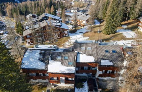 Petit Cirsio - Foto 21