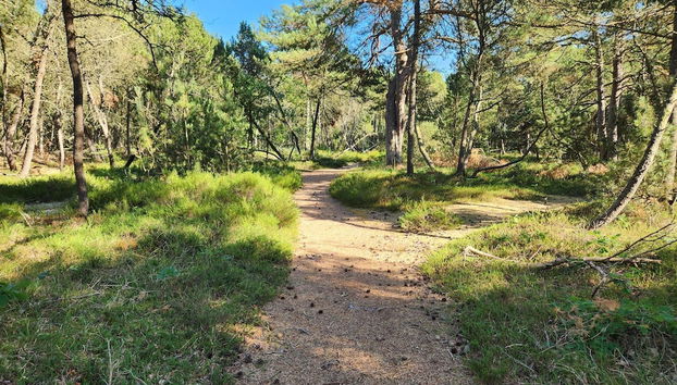 6 Person Holiday Home in Hadsund-by Traum - Foto 5, Miscelánea