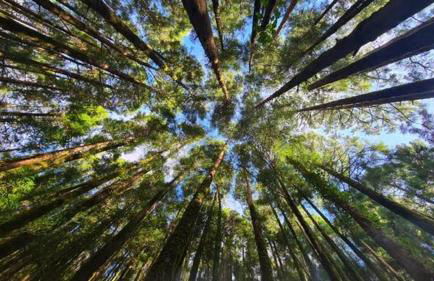 CASITA DA DOCTORA - Foto 57