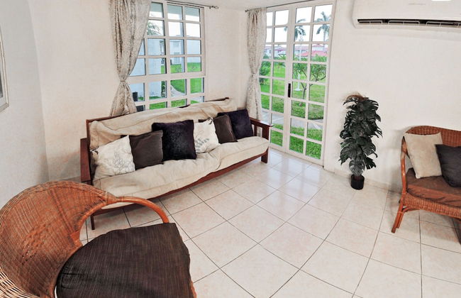 HominngBird - Foto 52