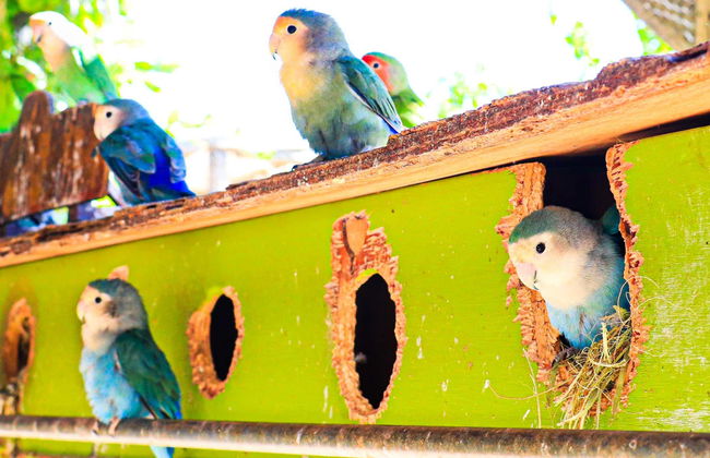 Canyon’s Kingdom Experience & Aqua Park Ticket - Foto 1