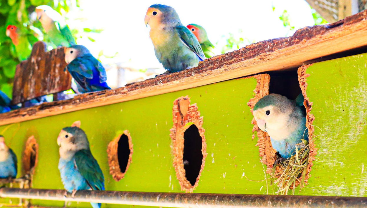 Canyon’s Kingdom Experience & Aqua Park Ticket - Foto 1