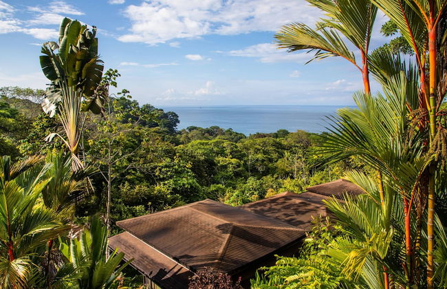 Tiki Villas Rainforest Lodge & Spa - Foto 80