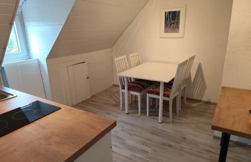 Frisch renovierte Wohnung - Foto 9