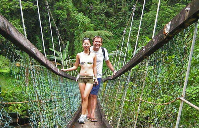 Taveuni Palms - Photo 52