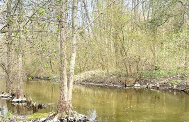 Peaceful Retreat by the Lake - Foto 24