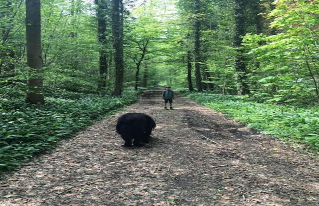 Cottage With Bubble Bath - Photo 28