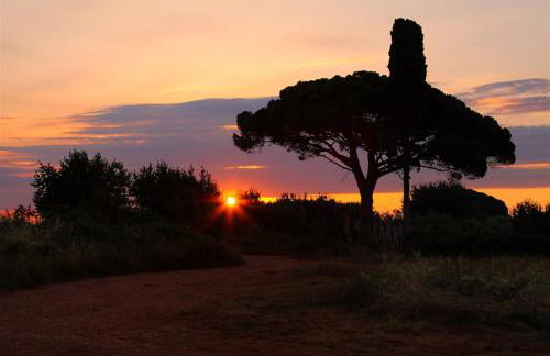 Guest House Mareda Palms - Photo 18