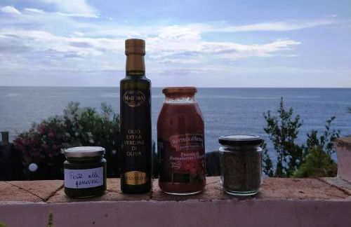 Blue Santa Tecla - Foto 32