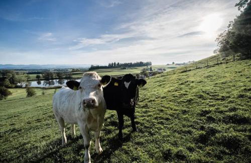 Appartement Mondholzliebe DG - Photo 24