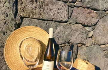 Adega da Prainha - Photo 20