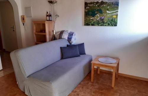 2 Zimmer Appartement Terrasse mit Bergblick - Foto 3