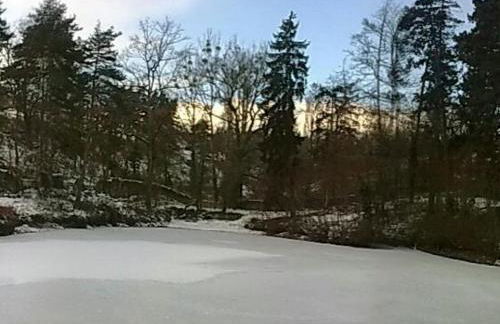 Gîte cosy pour 2 avec jardin et cheminée à Montbrison - FR-1-496-158 - Foto 16