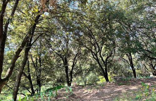 Maison charmante à Valleraugue avec piscine partagée. - Foto 22