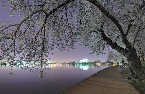 Relaxing, Spacious, Private, Walkable in Petworth! - Foto 24