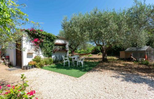 Villa L'Oliveto - Foto 19