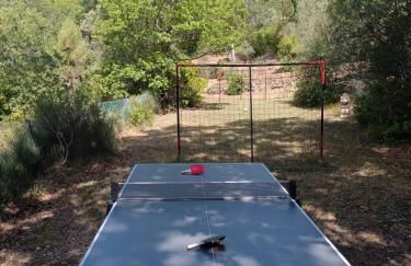 Authentique "mas" Provencal avec sa grande piscine, havre de paix en pleine nature ! - Foto 14