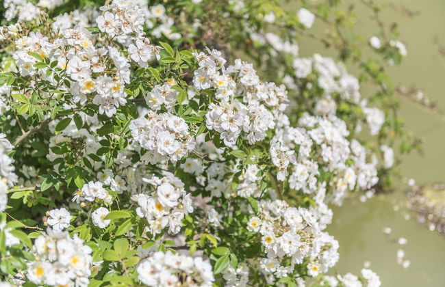 Hotel Monnàber Vell - Foto 59