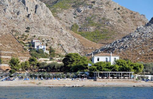 Hydra Erato - Foto 33