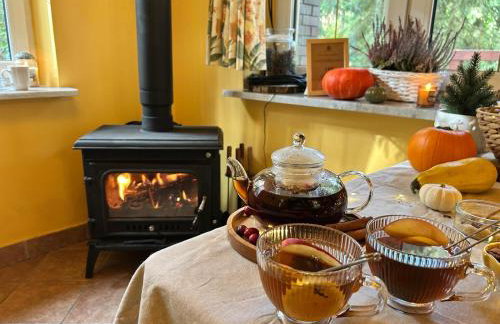 Masuria Warsaw Family - dom na wyłączność - w lesie i przy rzece - 15 min od Warszawy - idealny dla rodzin z dziećmi - Foto 41