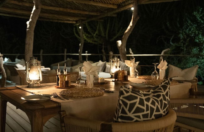 Euphorbia Mashatu - Foto 38