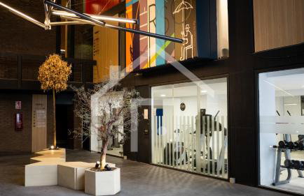 A Paicega - Oviedo Centro - Foto 49