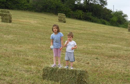 Agriturismo Collomici - Foto 80