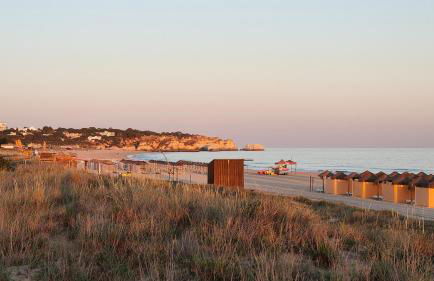 EstrelasDourada ALVOR Limoeiro - Foto 55