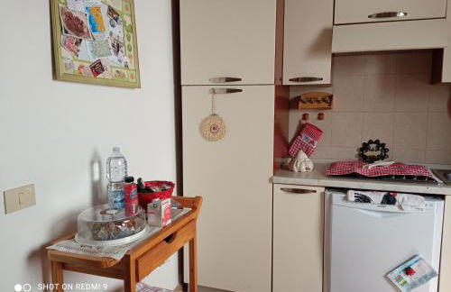 Le rose e i violini - Photo 11