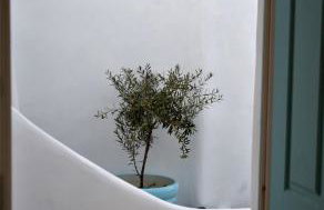 Mykonos Moussa - Foto 50