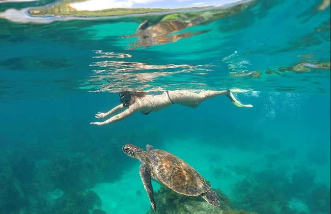 Visite complète de Fernando de Noronha - Photo 8